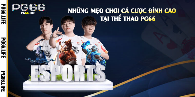 Những-Mẹo-Chơi-Cá-Cược-Đỉnh-Cao-Tại-Thể-Thao-pg66